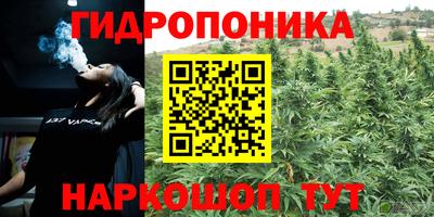 спайс Беслан