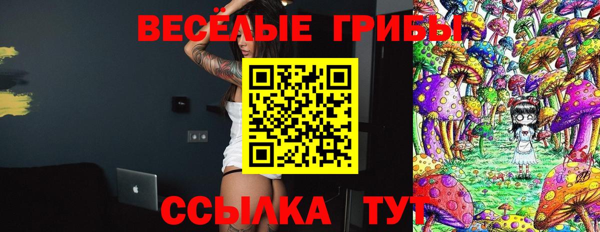 Псилоцибиновые грибы Magic Shrooms Избербаш